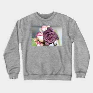 Parched Crewneck Sweatshirt